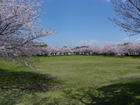 エルミタージュA 公園：権現森公園　344m