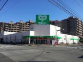 カサフェリース スーパー：サミットストア 花見川区役所前店　194m