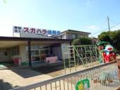 カサフェリース 幼稚園：スガハラ幼稚園　272m