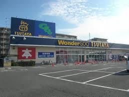 ECORT　NAKAMURAⅡ ショッピング施設：WonderGOO TSUTAYA 八千代大和田新田店　841m