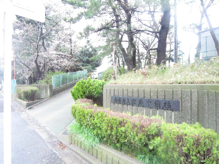 ニューシャルマン 中学校：船橋市立 宮本中学校　163m
