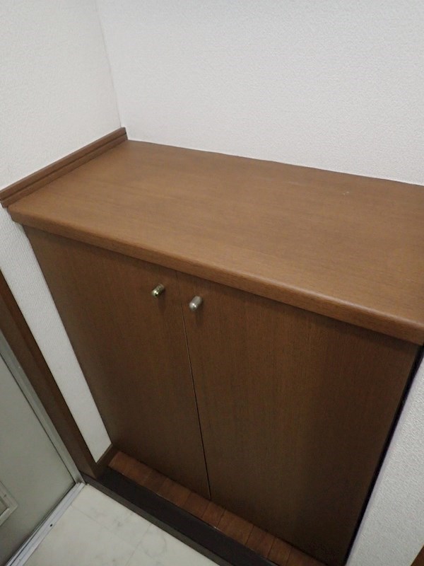 アネックスアリス シューズBOX有り