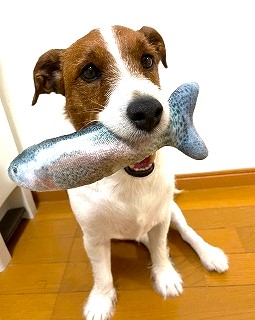 ３月３日は・・・