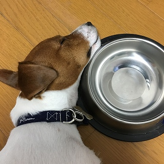 激写！！