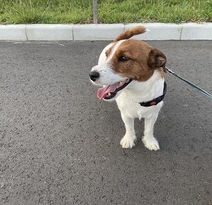 ごきげんな朝🌞
