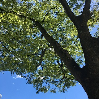 南行徳♬