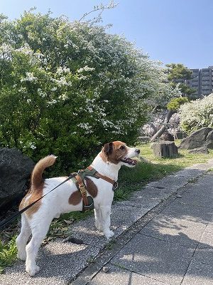 🐾おこわくんブログ最終回🐾