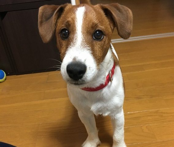 初投稿♪