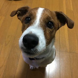 10月